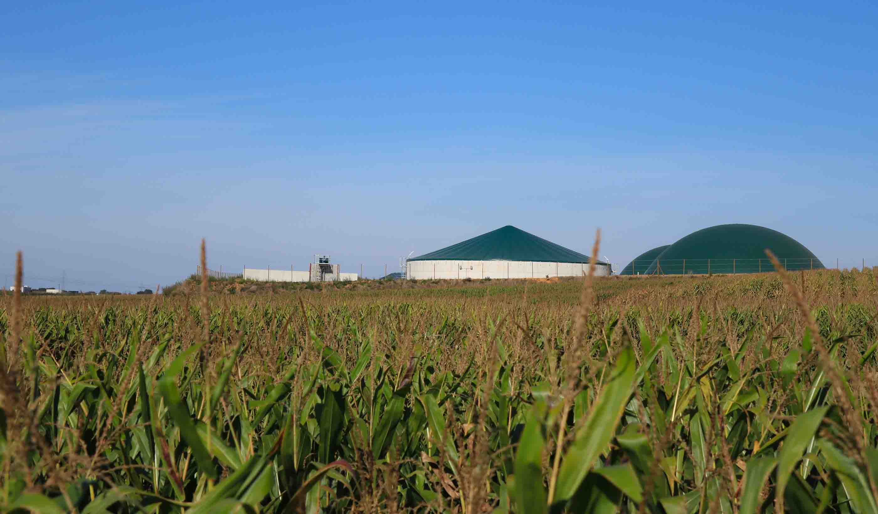 Transforming delivery of anaerobic digestion in the United Kingdom