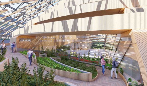 Interior rendering of area of Houston Astrodome with mass timber lattice.