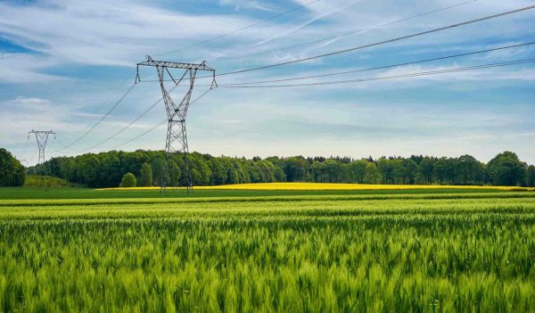 High voltage poles standing in a field under a blue sky. Juicy green fields on a colorful summer country landscape.