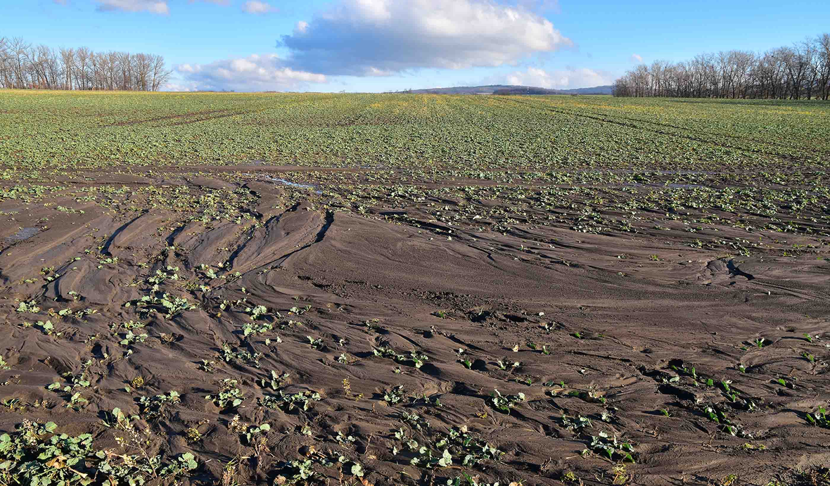 Perché il suolo è fondamentale per la vita sulla Terra?