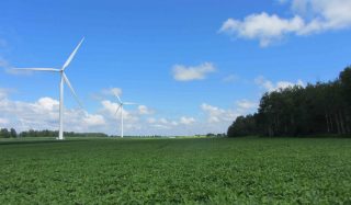 Wildcat Wind Farm