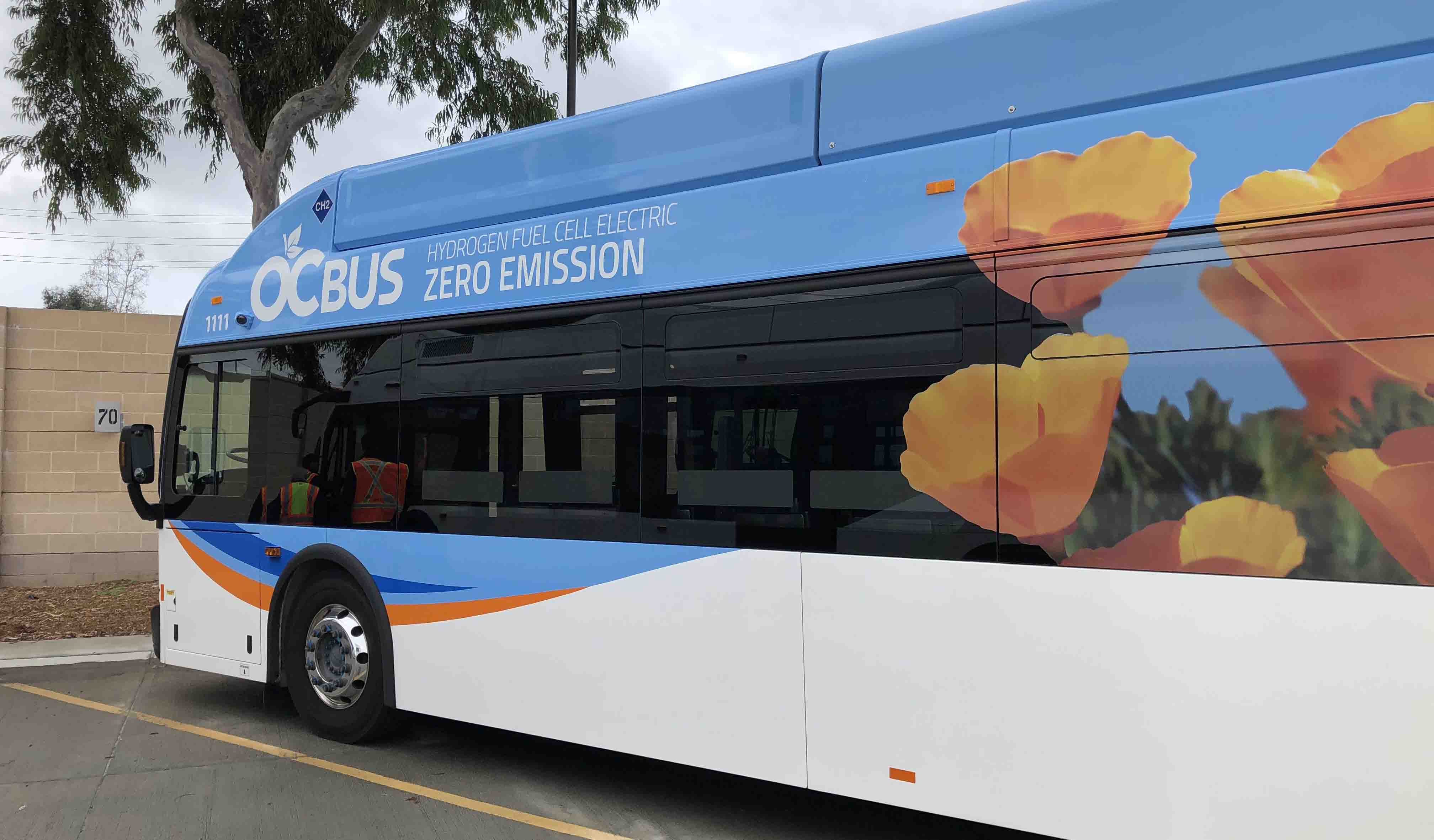 Hydrogen and Electric Buses