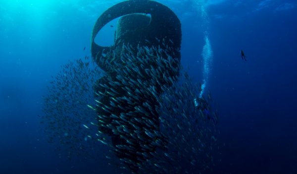 Underwater attraction with fish bank