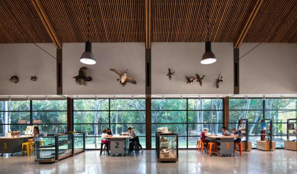 Children working at tables with floor to ceiling windows to the outdoors.