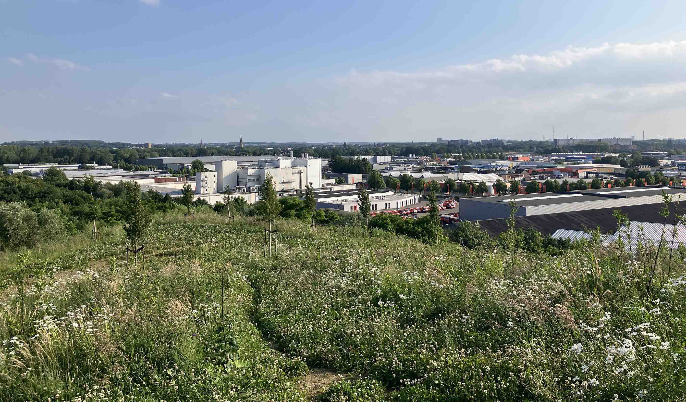 Buildings in a business park with a green field and the city beyond